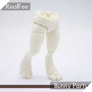 Bunny Parts for R-Line